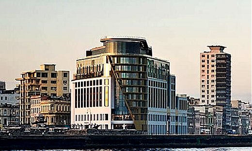 img 0205.jpg