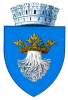 logo Brasov